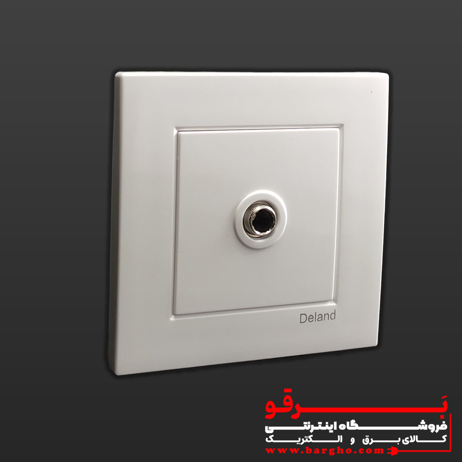 فیش بلندگو (میکروفن) توکار | مدل آسا دلند
