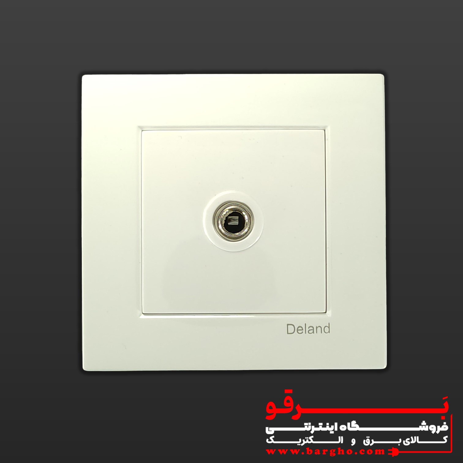 فیش بلندگو (میکروفن) توکار | مدل آسا دلند