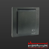 پریز ارت محافظ دار بارانی توکار | مدل آسا دلند (IP44) | سیاه